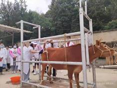 39D96FC55ED5C600D77651553C77A004